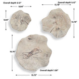 Teo Wall Decor (Set of 3) Bleached Wood - Beige by Uttermost - View 10