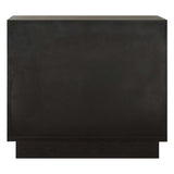 Shelby 2 Door Ebony Stained Cabinet - Black by Uttermost - View 9