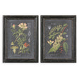 Midnight Botanicals Wall Art (Set of 2) - Black / Green by Uttermost - View 1