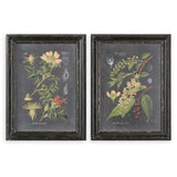 Midnight Botanicals Wall Art (Set of 2) - Black / Green by Uttermost - View 1