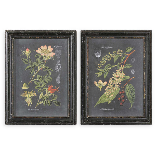 Midnight Botanicals Wall Art (Set of 2) - Black / Green by Uttermost - View 1