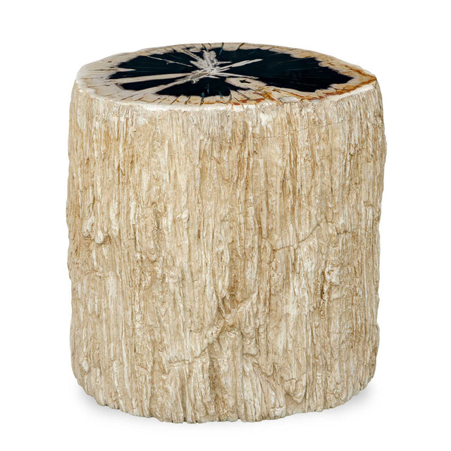 Arco Petrified Wood Top Accent Table Black / White - Beige by Uttermost - View 1