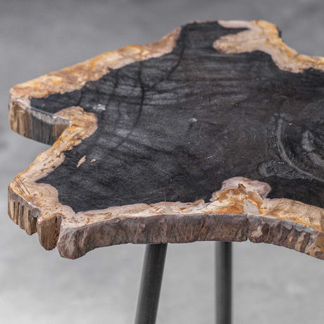 Mircea Petrified Wood Accent Table Black & Light Brown - Black / Light Brown by Uttermost - View 7