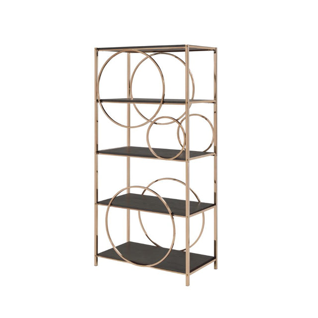 Acme - Hudice Bookshelf 92659 Black Oak & Champagne Finish