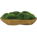 Kinsale Moss Centerpiece - Light Brown / Green by Uttermost - View 1