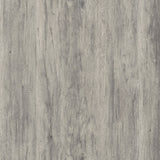 Alejo 2 - door Tall Cabinet Grey Driftwood | Coaster - 950783 - Home Elegance USA - 9