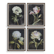 Florals On Black Framed Prints (Set of 4) by Uttermost - View 1