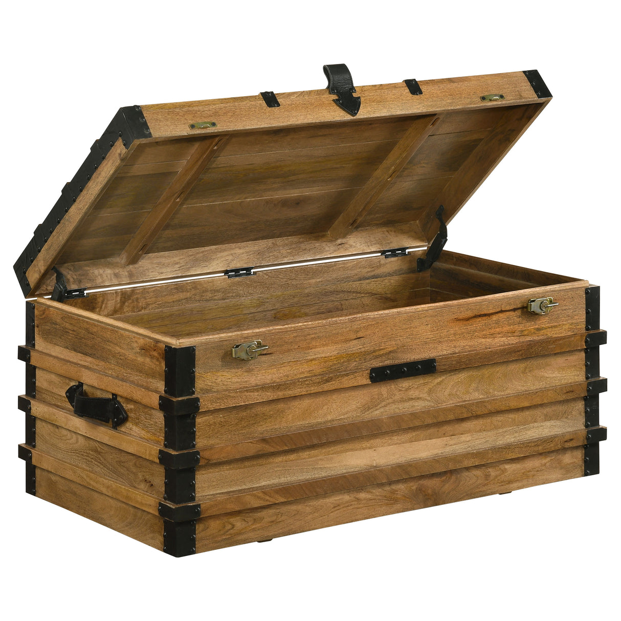 Storage Trunk - Simmons Rectangular Storage Trunk Natural and Black