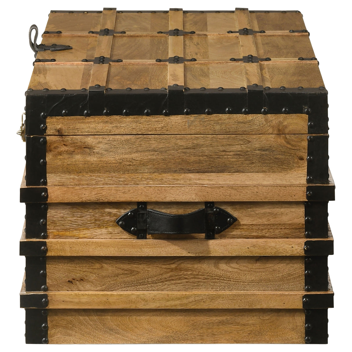 Storage Trunk - Simmons Rectangular Storage Trunk Natural and Black