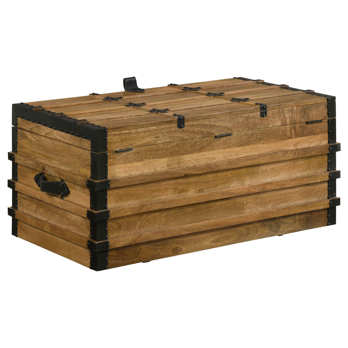 Storage Trunk - Simmons Rectangular Storage Trunk Natural and Black