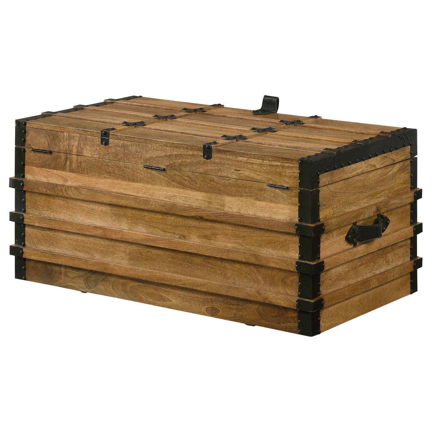 Storage Trunk - Simmons Rectangular Storage Trunk Natural and Black