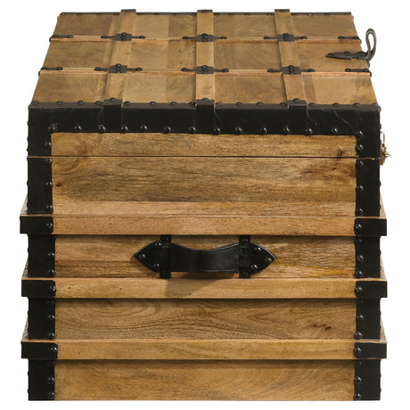 Storage Trunk - Simmons Rectangular Storage Trunk Natural and Black