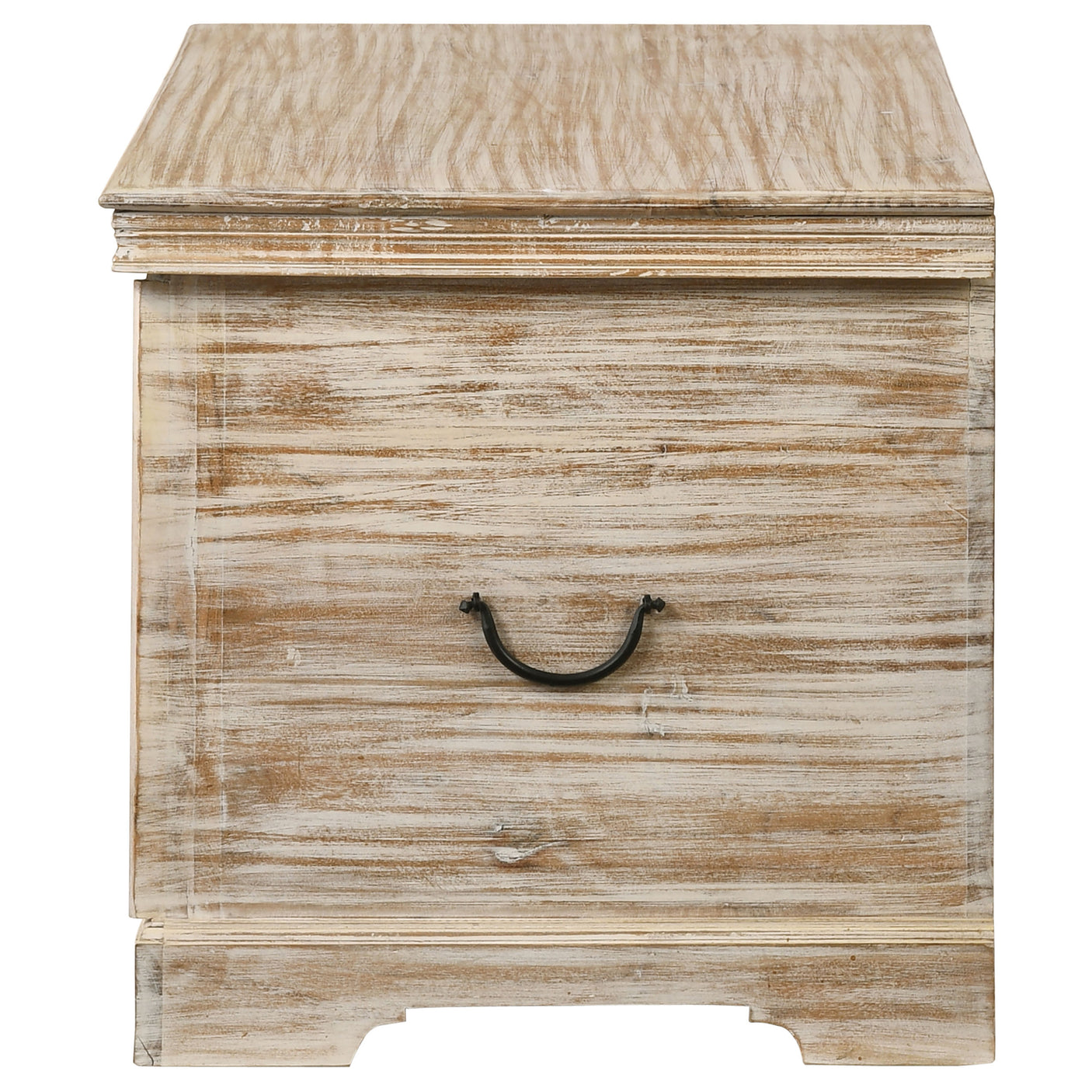 Storage Trunk - Nilay Rectangular Storage Trunk White Washed and Black