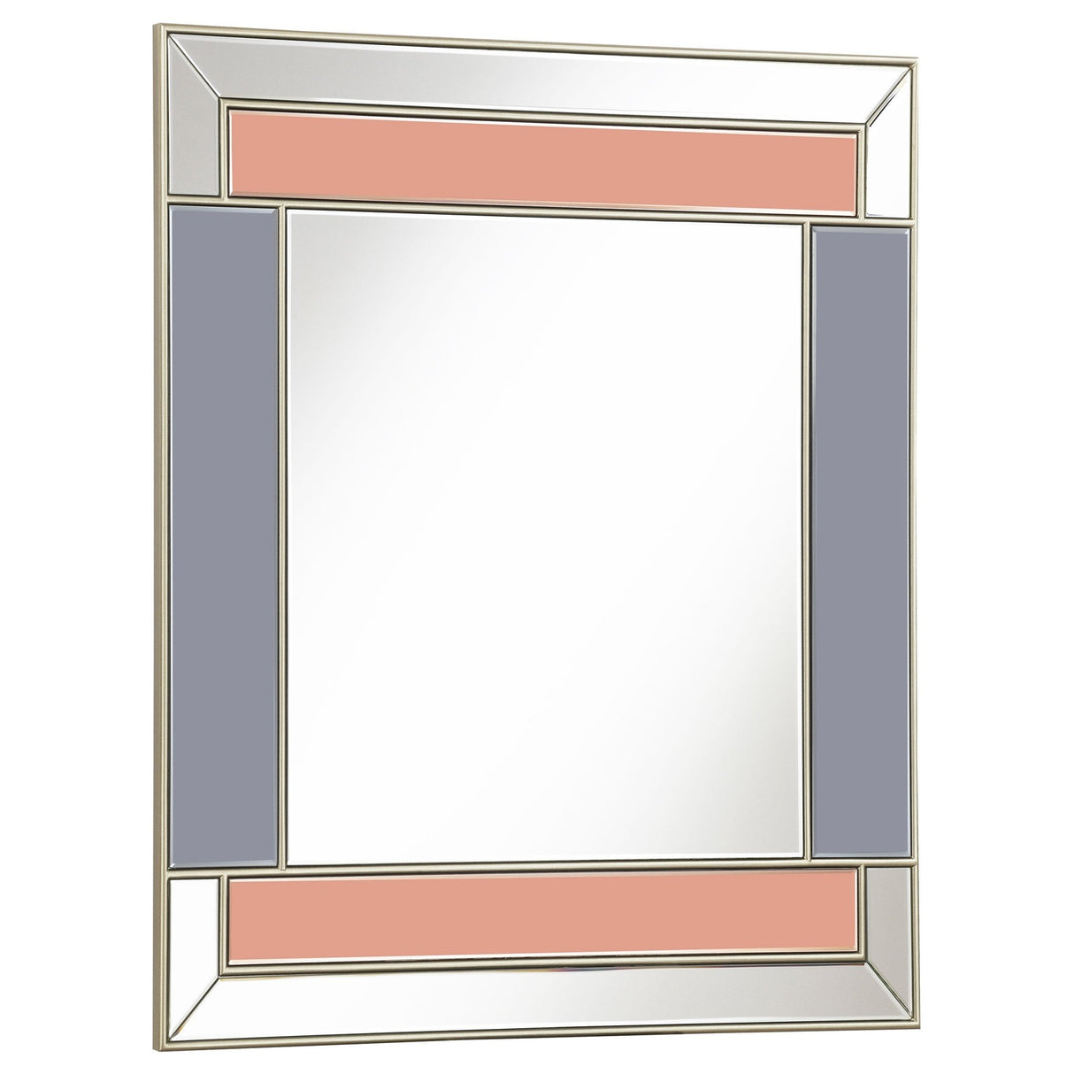 Braylin Rectangular Wall Mirror Champagne and Grey | Coaster - 962907 - Home Elegance USA - 1