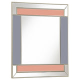 Braylin Rectangular Wall Mirror Champagne and Grey | Coaster - 962907 - Home Elegance USA - 1