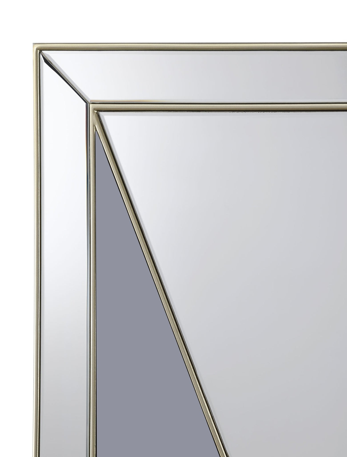 Calixte Rectangular Wall Mirror Champagne and Grey | Coaster - 962909 - Home Elegance USA - 4