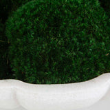 Awaken Moss Centerpiece - Green / White by Uttermost - View 4