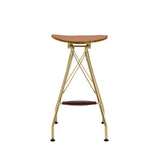 Acme - Dragea Bar Stool (Set-2) 96850 Whiskey Synthetic Leather & Gold Finish