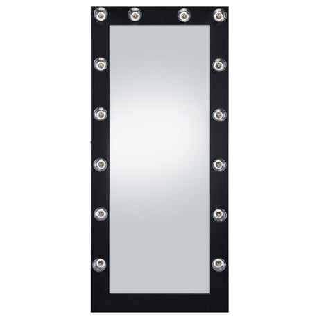 Floor Mirror - Zayan Full Length Floor Mirror With Lighting Black High Gloss