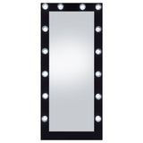 Floor Mirror - Zayan Full Length Floor Mirror With Lighting Black High Gloss