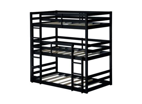 23445731