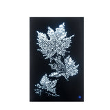 Acme - Talisha Wall Art W/Led 97716 Smoky Glass & Faux Crystal