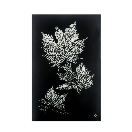 Acme - Talisha Wall Art W/Led 97716 Smoky Glass & Faux Crystal