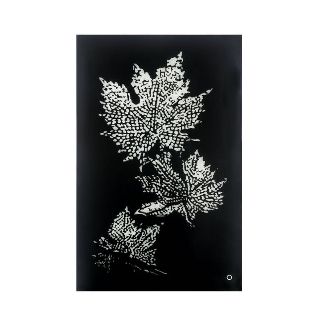 Acme - Talisha Wall Art W/Led 97716 Smoky Glass & Faux Crystal