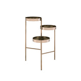 Acme - Namid Plant Stand 97795 Gold Finish