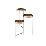 Acme - Namid Plant Stand 97795 Gold Finish