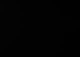 23570404