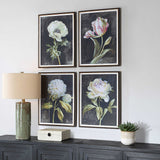 Florals On Black Framed Prints (Set of 4) by Uttermost - View 3