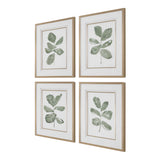 Fiddle Head Leaf Botanical Prints (Set of 4) - Green / White by Uttermost - View 4
