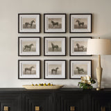 Equine Dynasty Framed Prints (Set of 9) - Gray by Uttermost - View 2