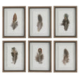 Birds Of A Feather Framed Prints (Set of 6) - Dark Brown by Uttermost - View 1