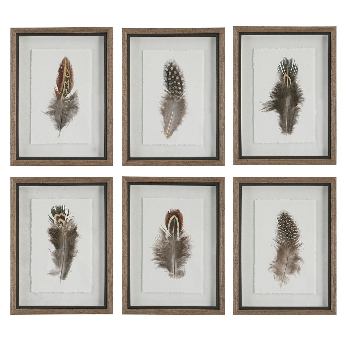 Birds Of A Feather Framed Prints (Set of 6) - Dark Brown by Uttermost - View 1