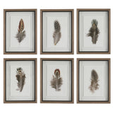 Birds Of A Feather Framed Prints (Set of 6) - Dark Brown by Uttermost - View 1