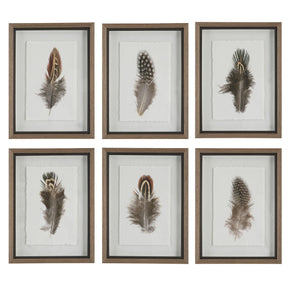 Birds Of A Feather Framed Prints (Set of 6) - Dark Brown by Uttermost - View 1