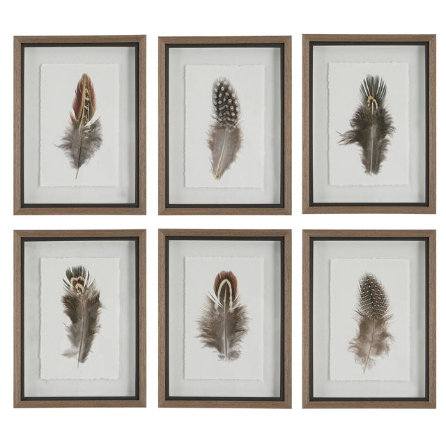 Birds Of A Feather Framed Prints (Set of 6) - Dark Brown by Uttermost - View 1