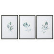 Simple Sage Watercolor Prints (Set of 3) - White / Green by Uttermost - View 1