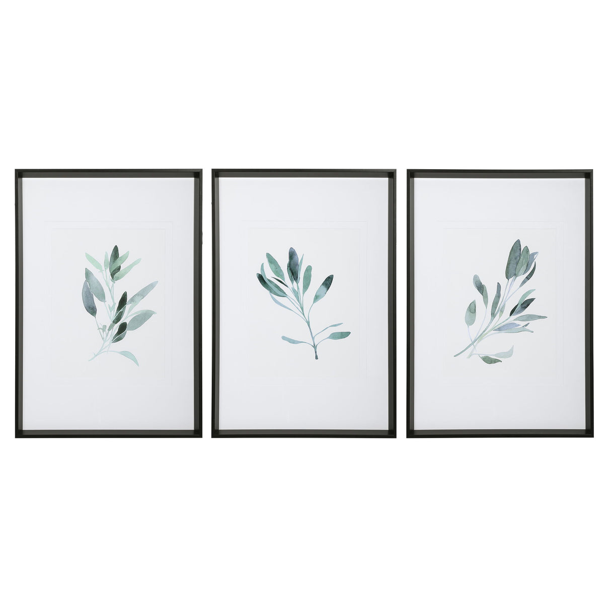 Simple Sage Watercolor Prints (Set of 3) - White / Green by Uttermost - View 1