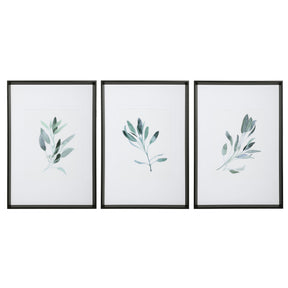 Simple Sage Watercolor Prints (Set of 3) - White / Green by Uttermost - View 1