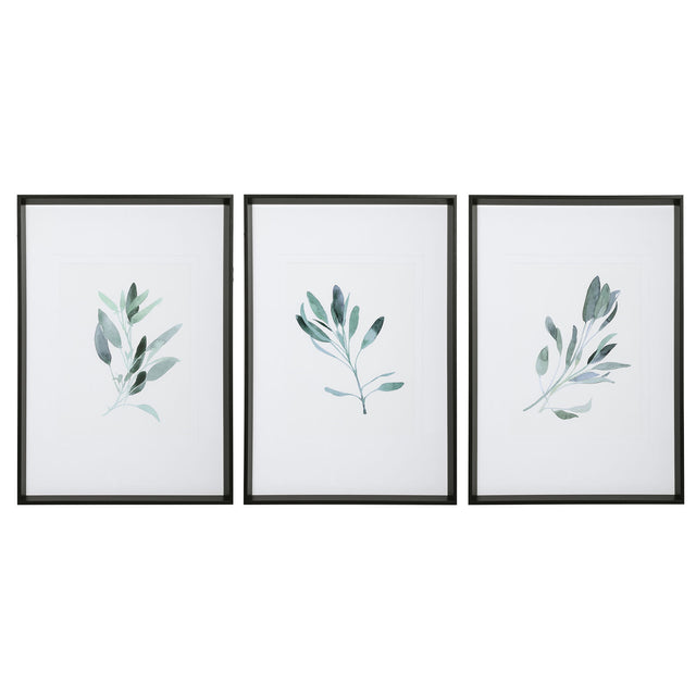 Simple Sage Watercolor Prints (Set of 3) - White / Green by Uttermost - View 1