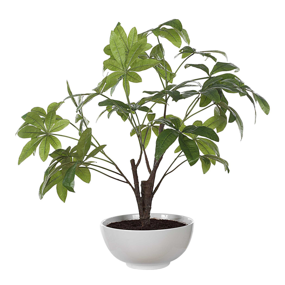 Pachira Money Money Tree - White by Uttermost - View 5