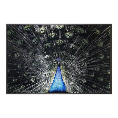 Brilliant Plumage - 72" X 48" - Charcoal Frame | Sunpan | Home Elegance USA