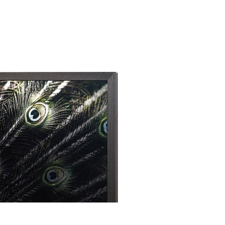 Brilliant Plumage - 72" X 48" - Charcoal Frame | Sunpan