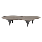 Modrest Beulah - Modern Free Form Dark Ash Coffee Table