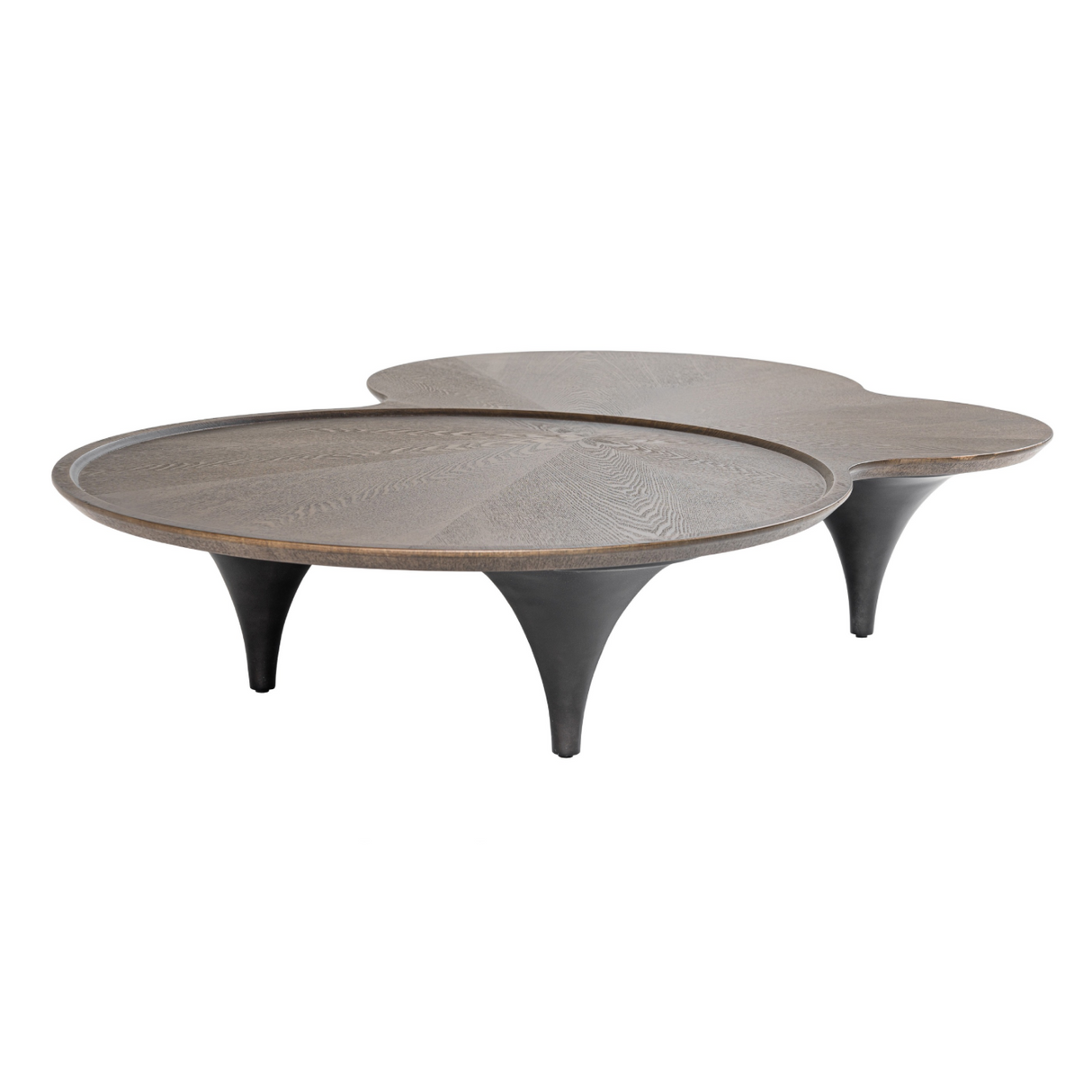 Modrest Beulah - Modern Free Form Dark Ash Coffee Table