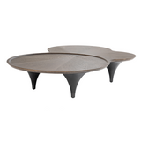 Modrest Beulah - Modern Free Form Dark Ash Coffee Table