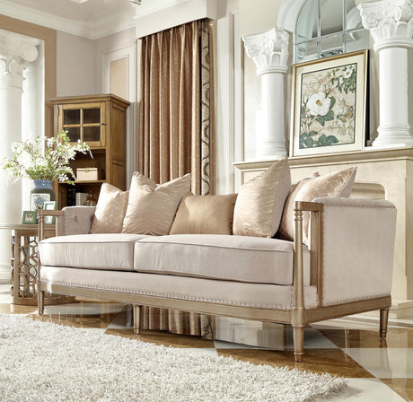 HD-625 Traditional Sofa and Loveseat in Champagne Finish Luxury Fabric by Homey Design Homey Design Furniture